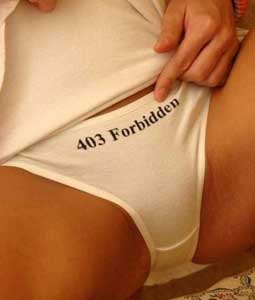 A photograph of a very charming and sensational lady's underwear