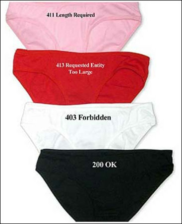 A photograph of a very charming and sensational lady's underwear