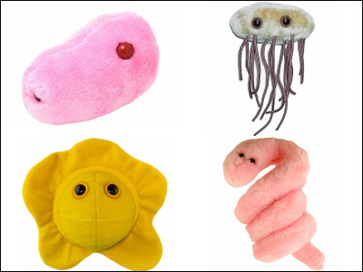 ebola plush