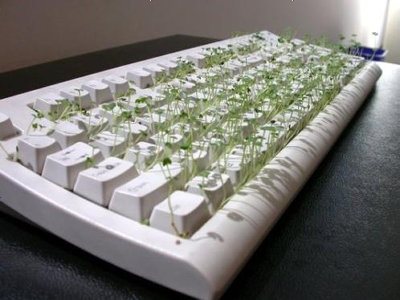 4-funny-chia-pet-keyboard_m.jpg