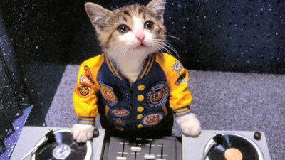 Premium AI Image  Cat dj playing on a turntable