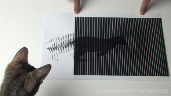 Animation using an optical illusion in which an illustration starts moving  when sliding a film 