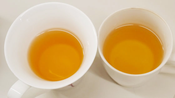 I tried putting 10 types of tea at SPECIAL.T which can make the ultimate  cup - GIGAZINE