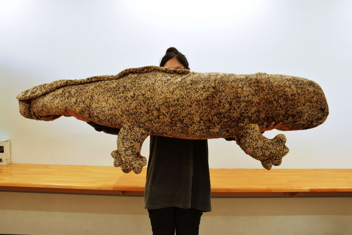 japanese giant salamander plush