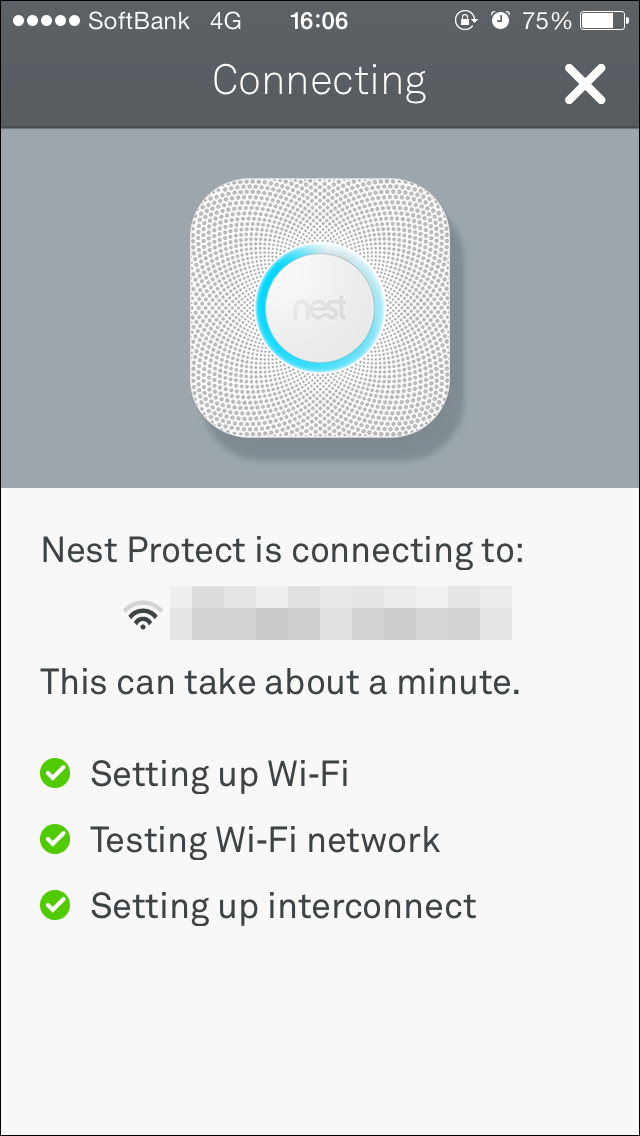 Testing the Nest Protect