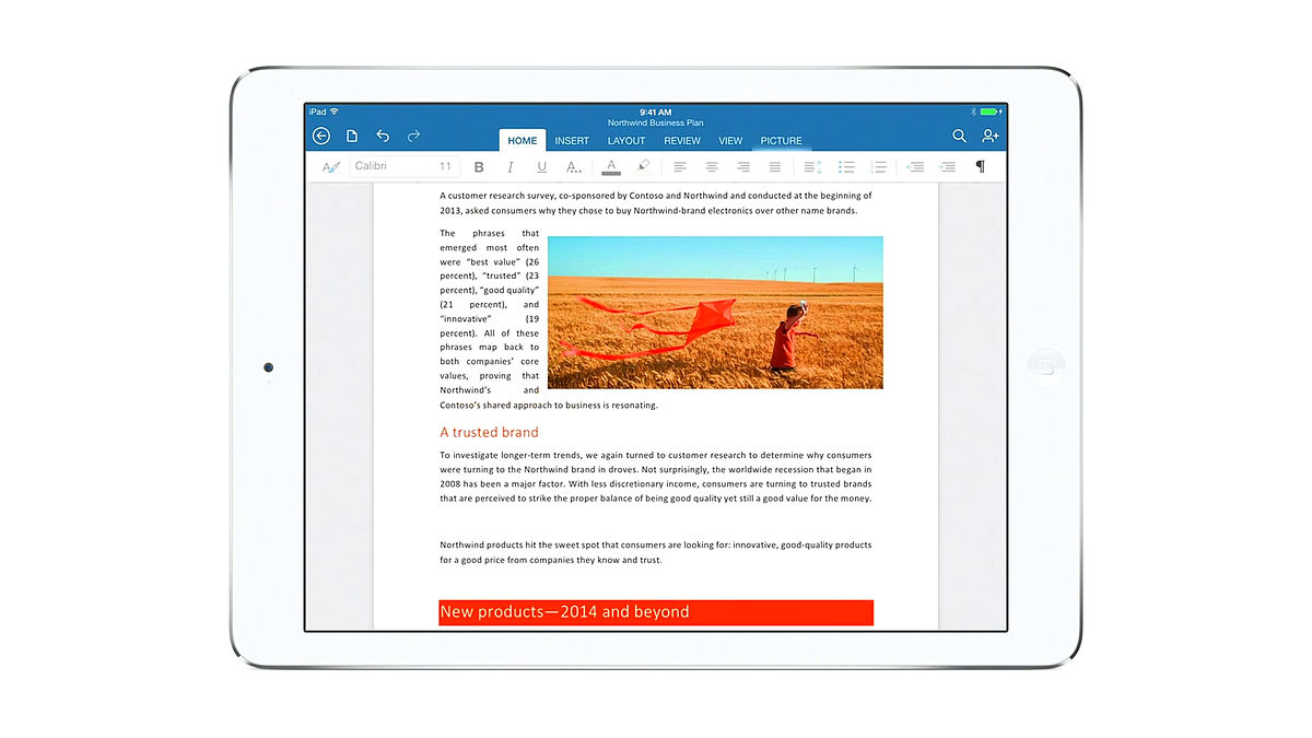 Microsoft Excel (for iPad) Review