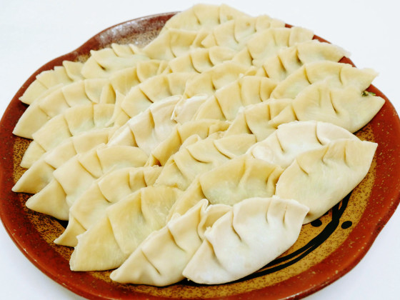 Philips Pasta Disc Dumpling/lasagna 