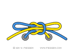 the ian knot