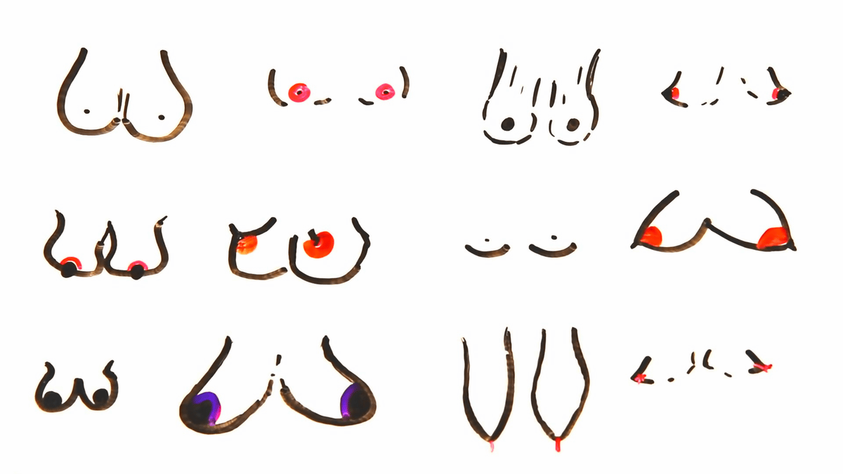 Different kinds of boobs