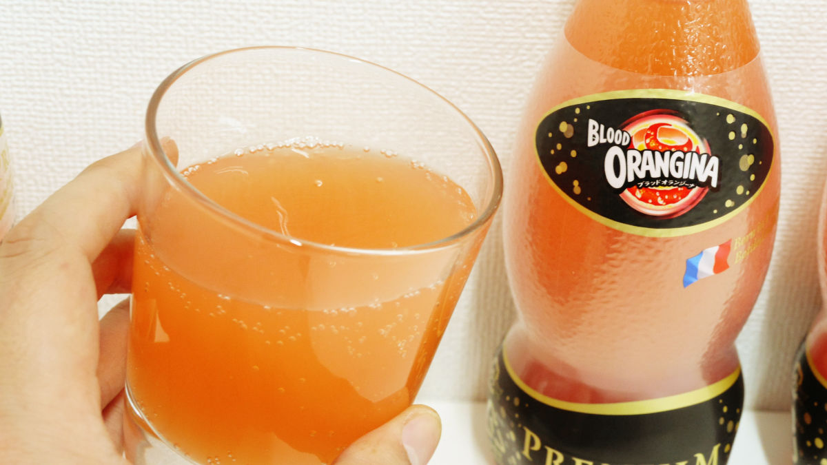 Orangina - Citrus Sparkling Juice Beverage (18 Bottles Total