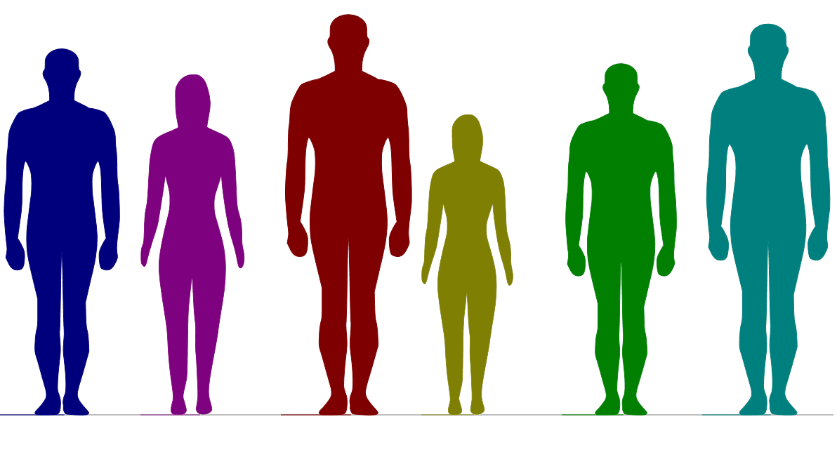 身長と性別を入力すると複数の人の体型の差を並べて表示してくれる Comparing Heights Gigazine