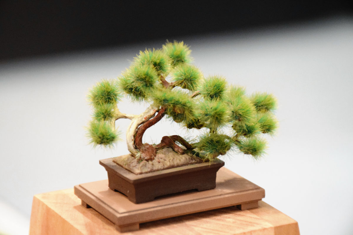 The Bonsai 4 Plastic Model Kit BON-04 Pine (Moyogi)
