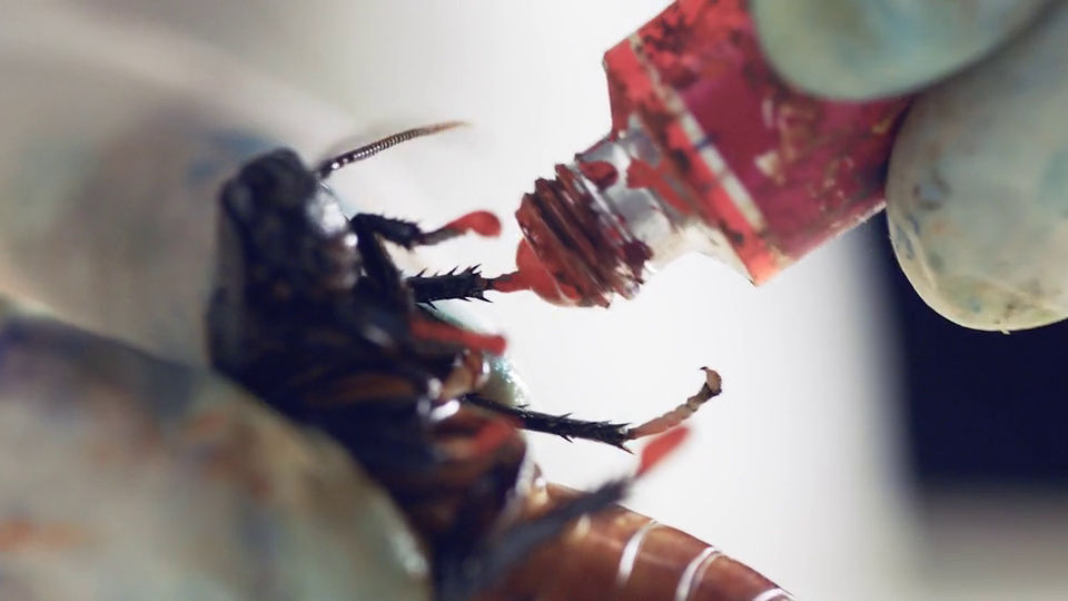 映画 スパイダーマン でクモに演技指導した 昆虫の動きを操ることができる 虫使いアーティスト の作品 Gigazine