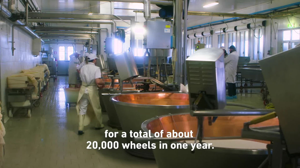 This Bank In Italy Holds Almost Half A Million Wheels Of Cheese