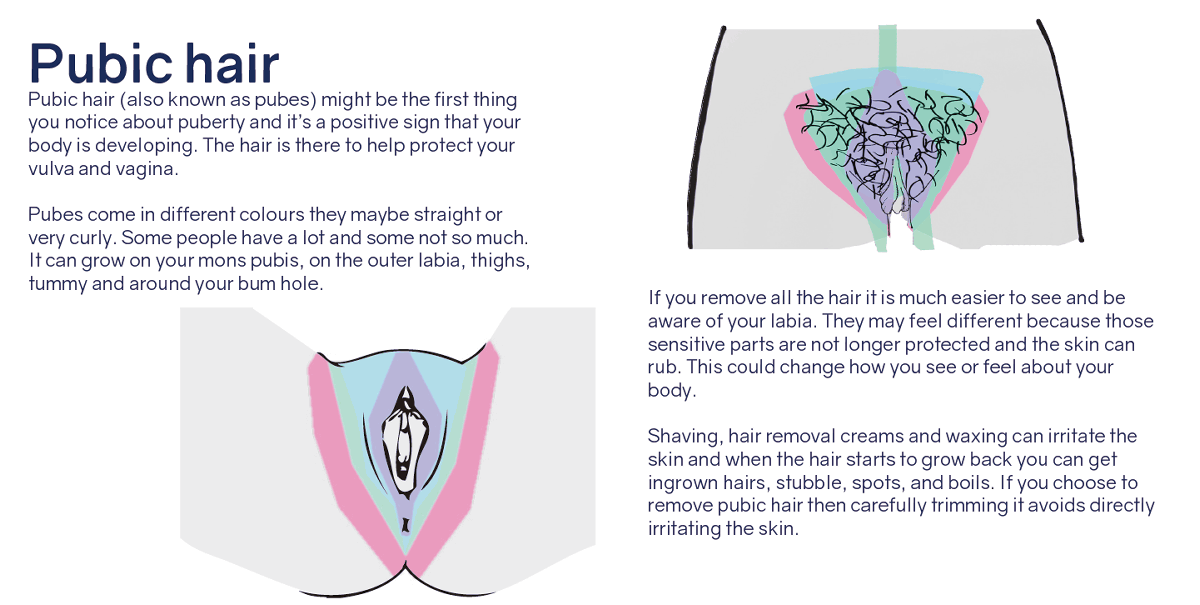 A guide to how the genitals of adolescent girls develop GIGAZINE