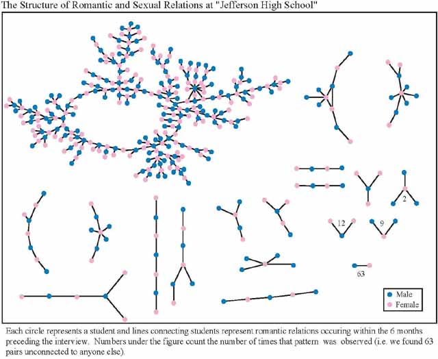 恋愛関係ネットワークを可視化した「ジェファーソン高校恋愛構造図 