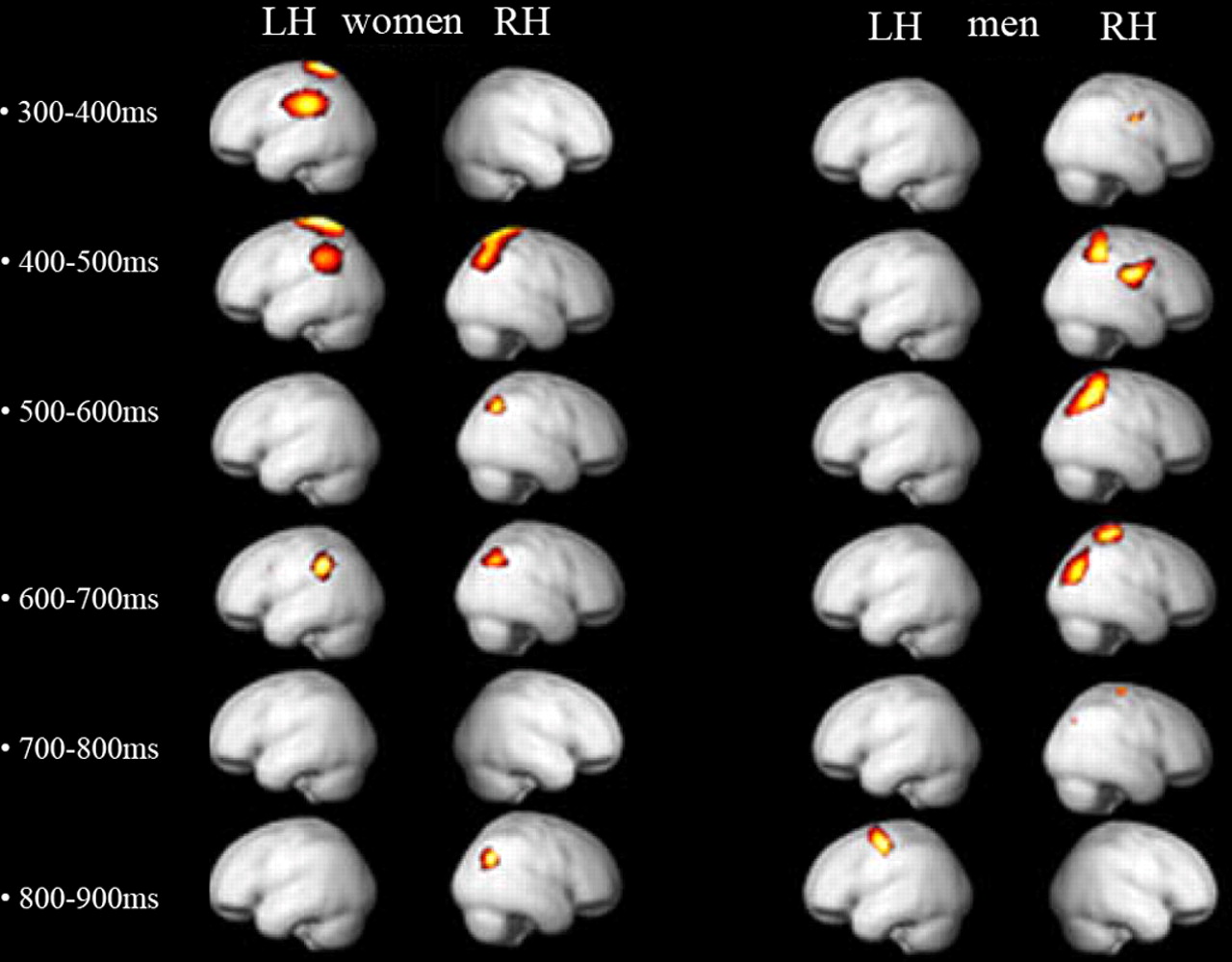 女性の脳と男性の脳では「美」についての脳内処理が異なっていることが判明 GIGAZINE