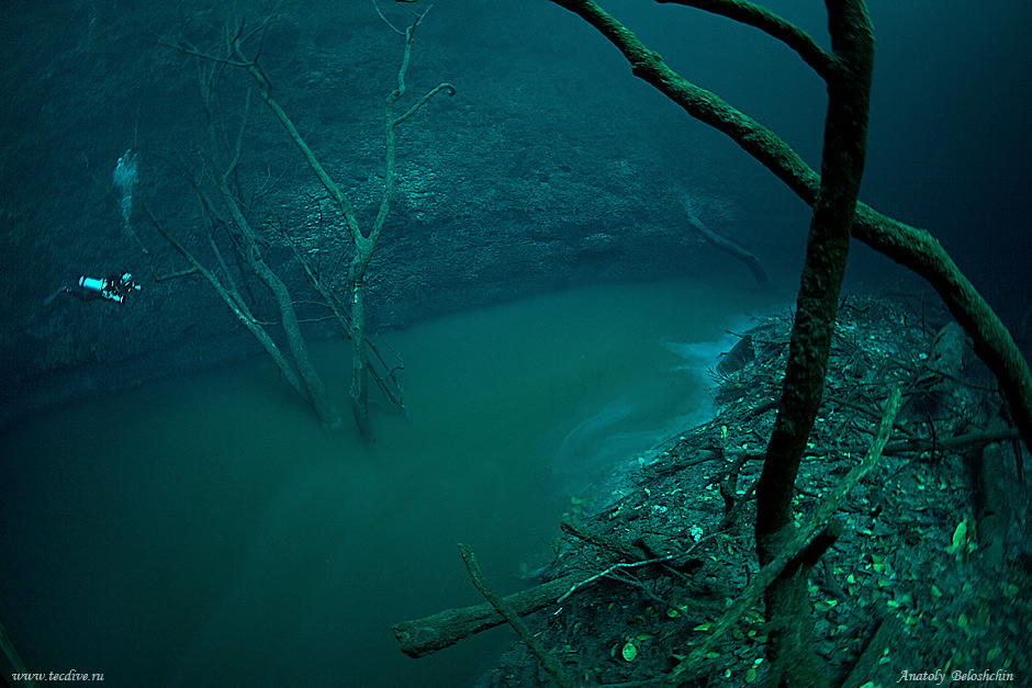 水の中なのに川があるユカタン半島の幻想的な水中洞窟 Gigazine