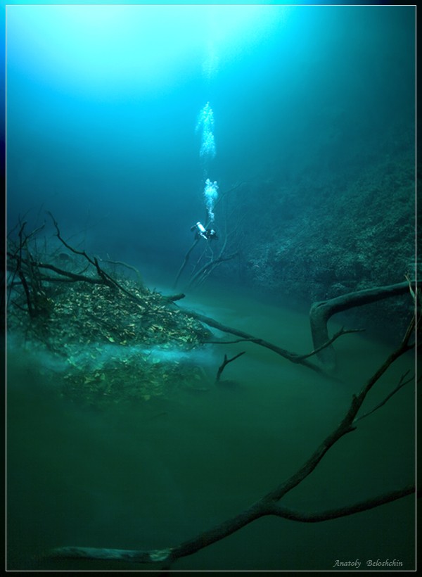水の中なのに川があるユカタン半島の幻想的な水中洞窟 Gigazine