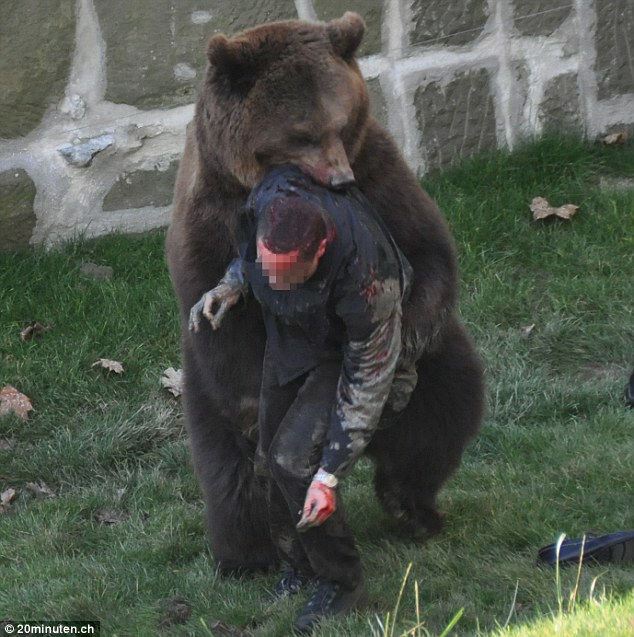 クマがいる柵の中に飛びこんだ男性が襲われている様子が撮影される Gigazine
