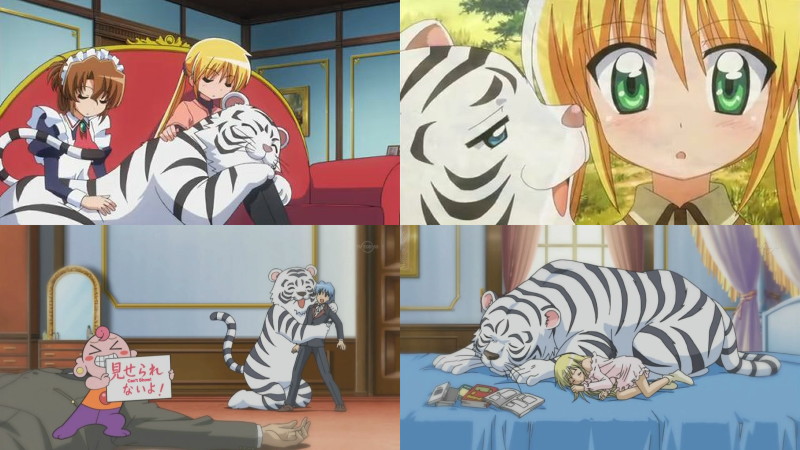 Anime White Tiger White tiger real name ava ayala is a s h i e l d