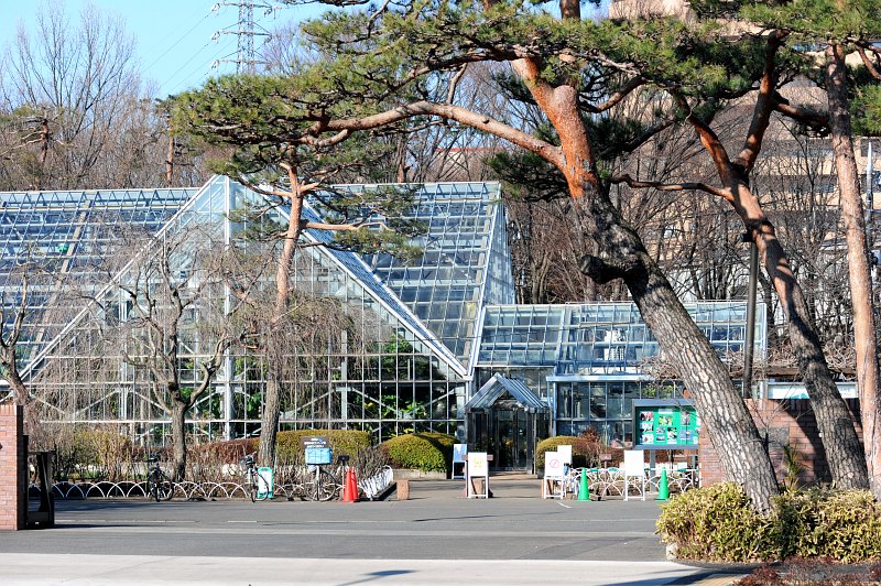 東京で唯一 ケシ が見られるという東京都薬用植物園に行ってきた Gigazine