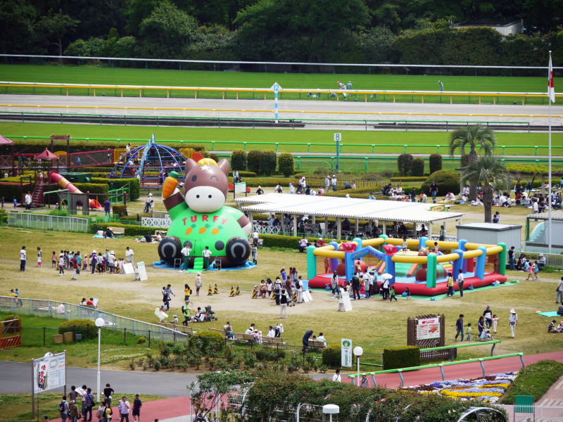 競馬に興味のない人でもok Jra東京競馬場の馬場内は0円でかなり楽しめる Gigazine