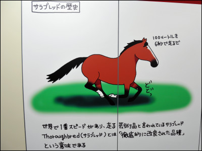 競馬の基本的な部分からちょっとマニアックな知識までを教えてくれる 東京競馬場地下道イラストいろいろ Gigazine