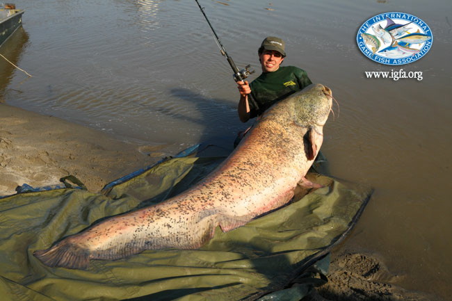 45分間の死闘の末に体長2 5mの ポー川の魔物 を釣り上げたイタリアの釣り人 Gigazine
