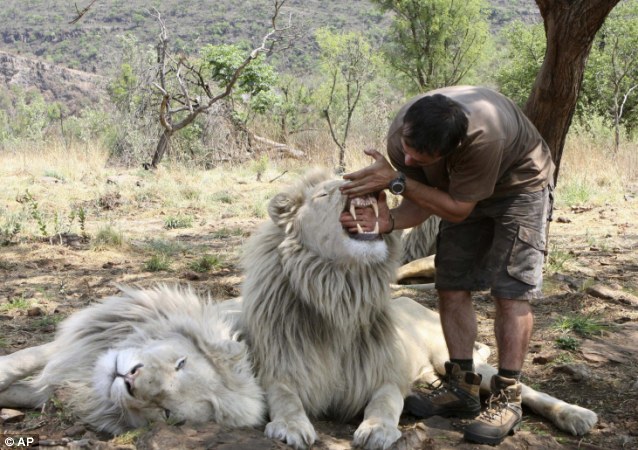 さん むつごろう ムツゴロウさん、ライオンに指を噛まれた秘話語る「笑って切ってもらった」