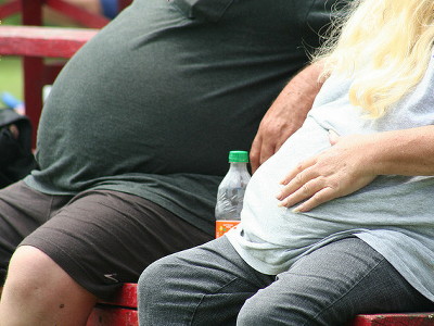 女性は低所得層の方が肥満率が高いが男性はそうではない Gigazine