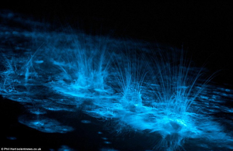 暗闇に青く発光する湖をとらえた幻想的な写真 Gigazine