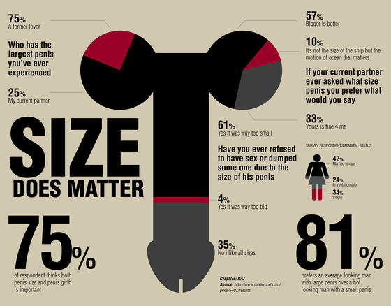 男性器の大きさは女性にとって重要なのかというアンケート結果をまとめた図 Gigazine