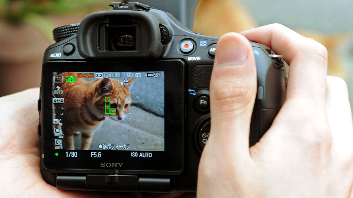 秒間12連写の威力がわかる「α57」で実際に撮った写真と映像はこんな ...