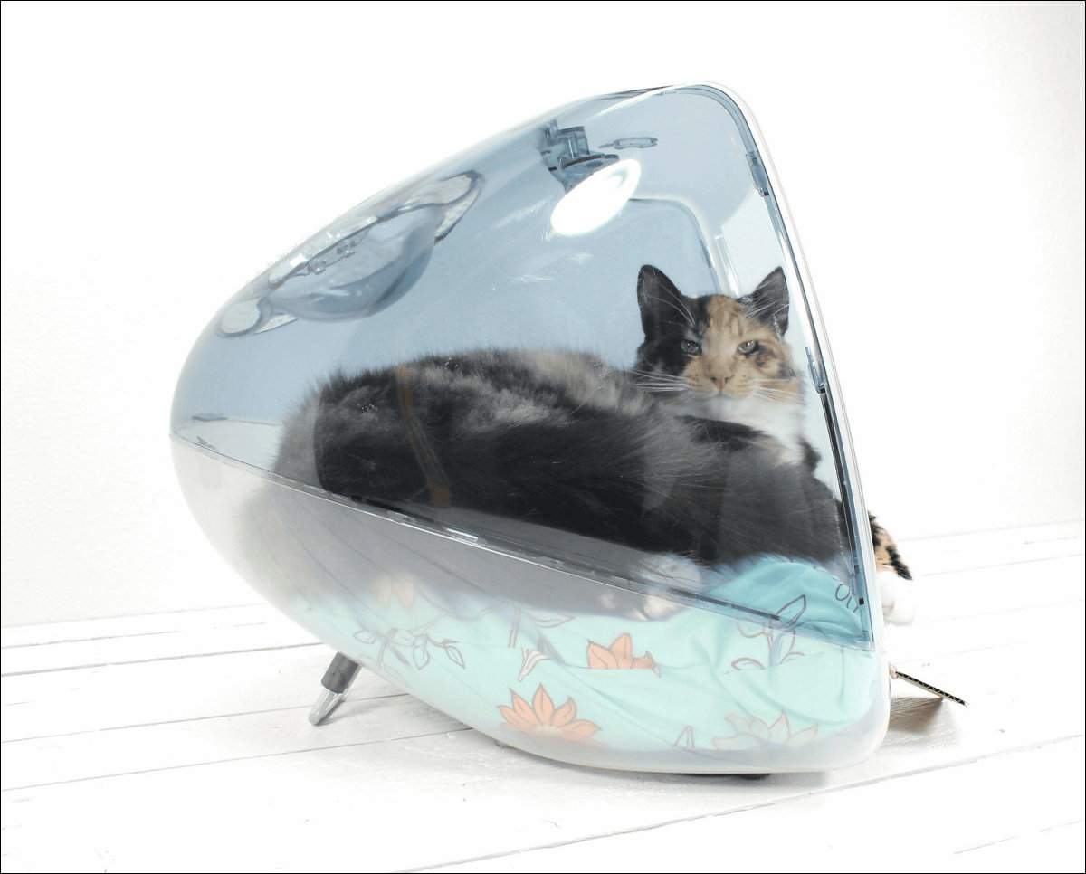 初代iMacの猫ハウス キャットハウス リメイク品 csm.fi.cr