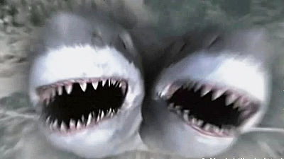 映画に出てくるサメの襲撃シーンで特にスゴイものまとめ Gigazine