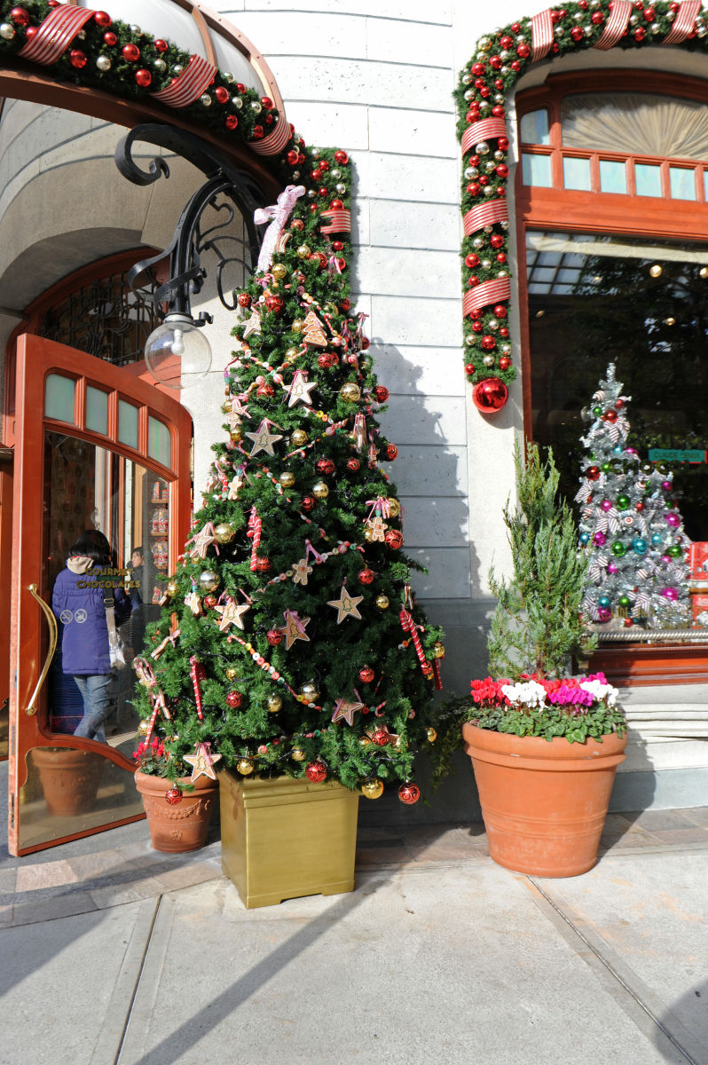 32万8049個の電飾で世界一のクリスマスツリーがUSJに登場、ユニバーサル・ワンダー・クリスマス徹底レポート - GIGAZINE