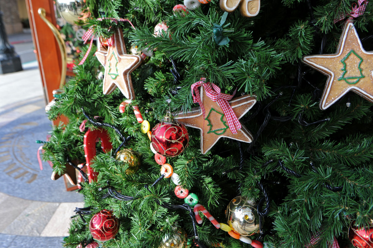 32万8049個の電飾で世界一のクリスマスツリーがUSJに登場、ユニバーサル・ワンダー・クリスマス徹底レポート - GIGAZINE