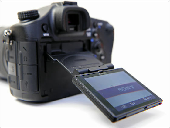 世界初デュアルAF搭載フルサイズデジタル一眼カメラ「α99」実写レビュー - GIGAZINE