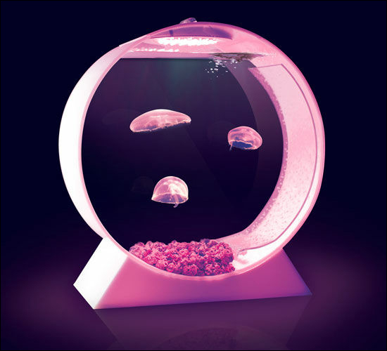 丸窓のようなデザインのクラゲ用水槽「Jellyfish Tanks」 - GIGAZINE