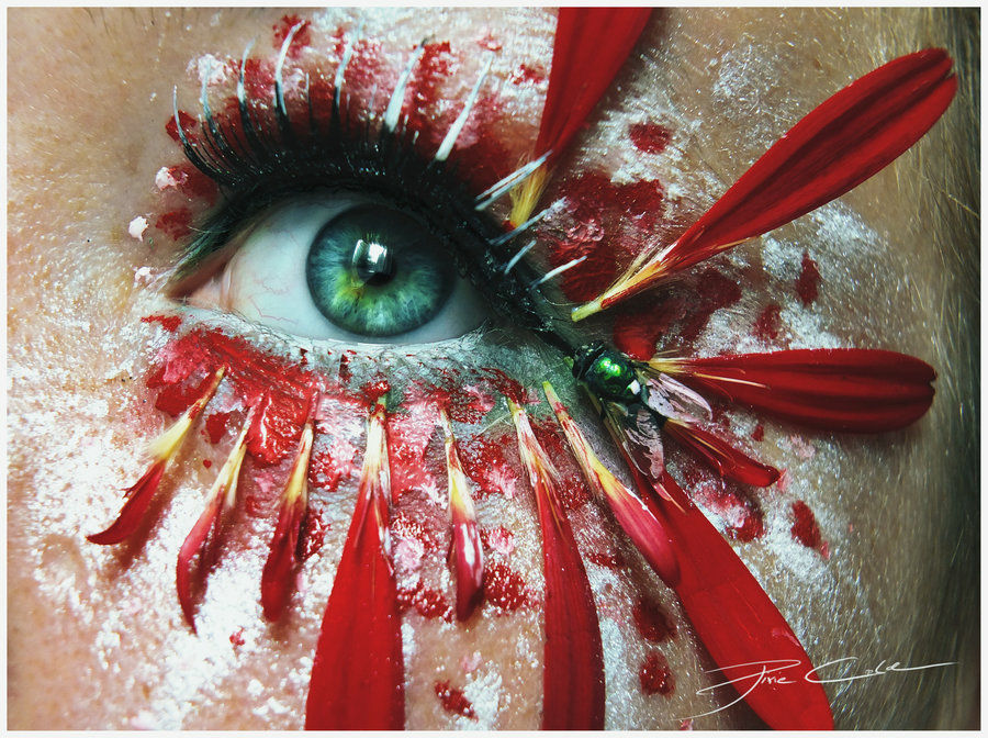 バラやてんとう虫まで使ったすさまじいアイメイク Eye Arts Gigazine