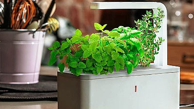 自動で水やり Ledライトで日当たりが悪くてもハーブを育てられる Smart Herb Garden Gigazine