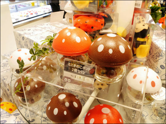 カラフルでポップなきのこ型デザインのお菓子「カファレル」グランフロント大阪にオープン - GIGAZINE