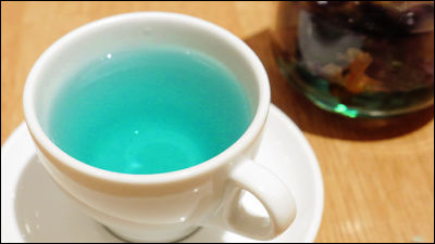 色が変わる青い紅茶や青づくしの料理を Tocca Cafe で食べてきました Gigazine
