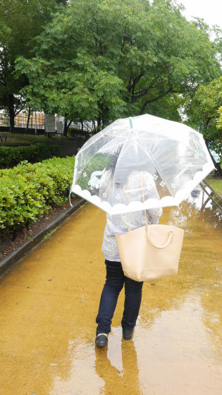 初音ミクをビニール傘にしたファミマ限定 ビニ傘 初音ミク を雨の中で使ってみました Gigazine