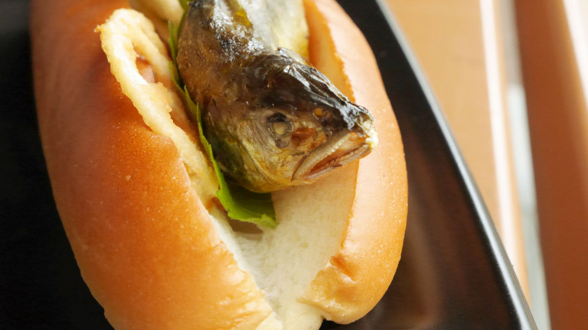 京都水族館の鮎の塩焼きを丸ごと挟んだホットドッグ アユの塩焼きドッグ は意外にしっくりはまる味 Gigazine