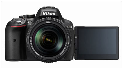 2024正規激安】 Nikon Wi-Fi搭載一眼レフ D5300 デジタルカメラ - bestcheerstone.com