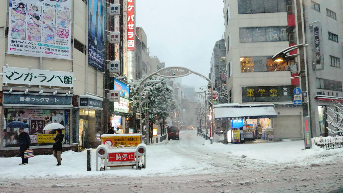東京都23区に13年ぶりの大雪警報 都内は見たことのない景色へと変貌