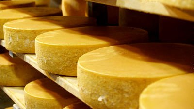 紀元前1600年ごろに作られた世界最古のチーズが発見される Gigazine