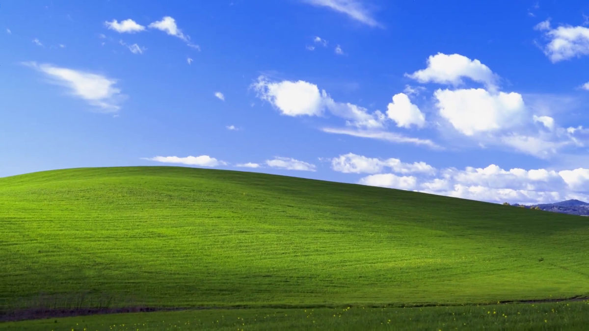 Microsoftとの交渉の裏側などをWindows XPの「草原」壁紙の撮影者が語る - GIGAZINE